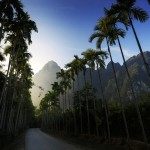 khaosok-elephant-hills-avond-thailandtravel