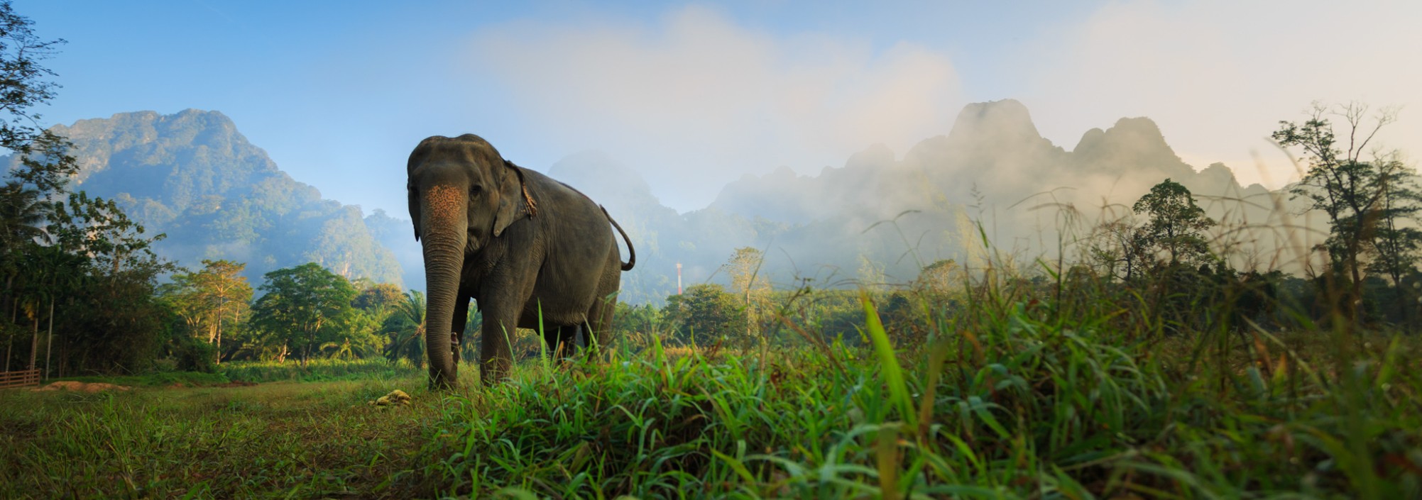 khaosok-elephanthills-olifant-view-thailandtravel