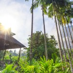 khaosok-elephanthills-restaurant-garden-tuin-thailandtravel