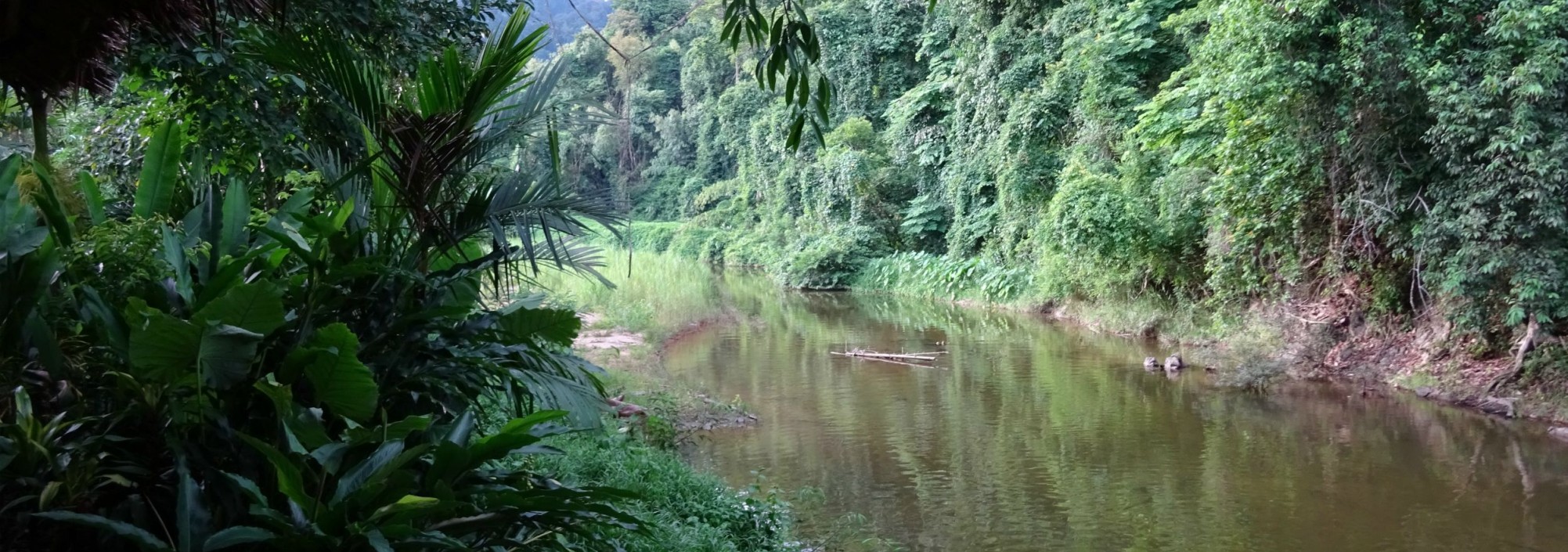 khaosok-jungle-nationalpark-rivier-thailandtravel