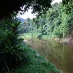 khaosok-jungle-nationalpark-rivier-thailandtravel