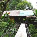 khaosok-riverside-cottage-hotel-thailandtravel