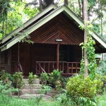 khaosok-riversidecottage-hotel-bungalow-nationalpark-thailandtravel