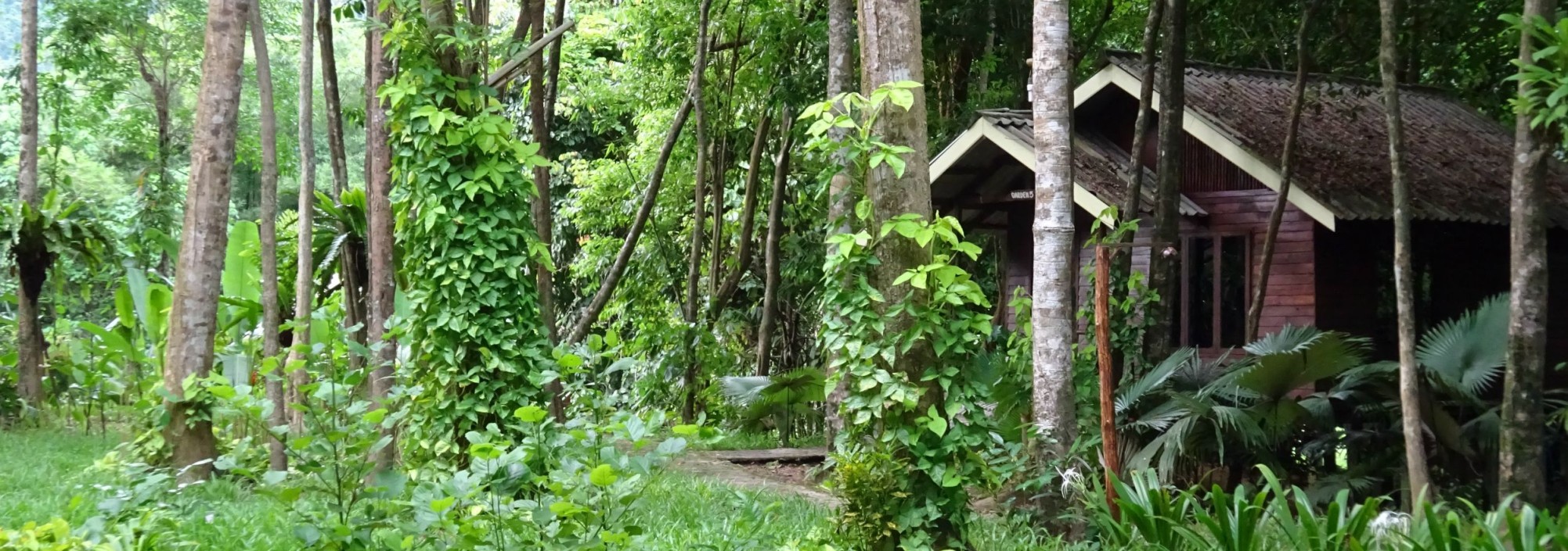 khaosok-riversidecottages-bungalow-jungle-thailandtravel