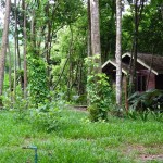 khaosok-riversidecottages-bungalow-jungle-thailandtravel