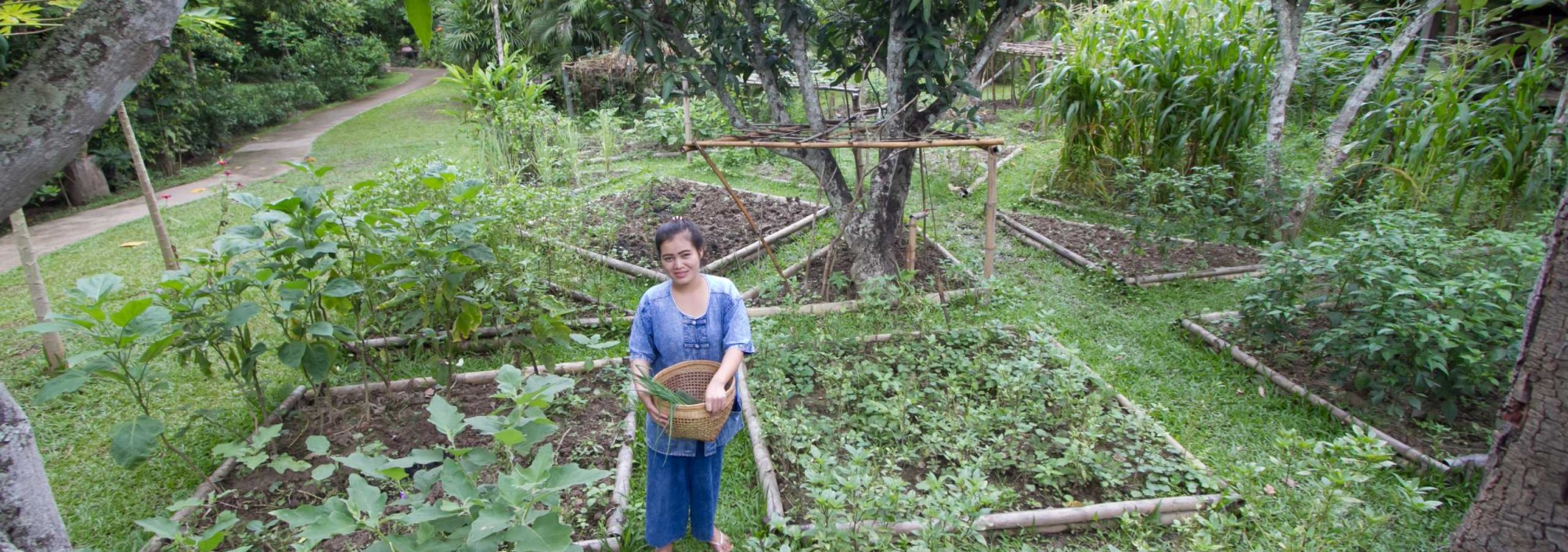 khum-lanna-luxe-homestay-tuin-garden-groente-thailandtravel