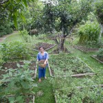 khum-lanna-luxe-homestay-tuin-garden-groente-thailandtravel