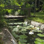 khum-lanna-luxe-homestay-vijver-tuin-thailandtravel