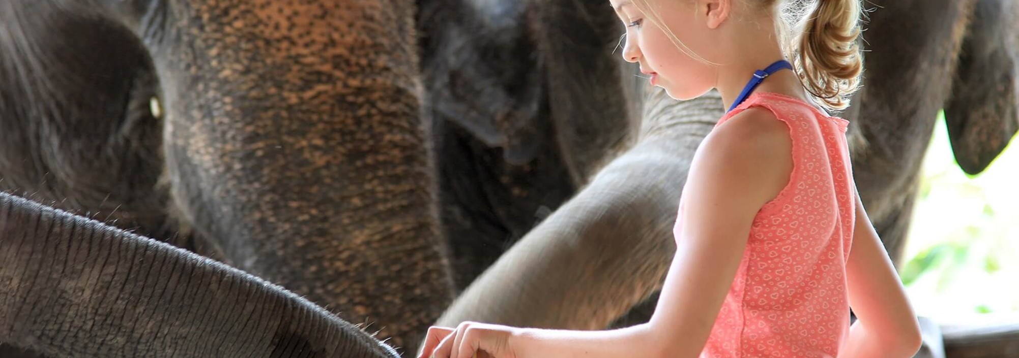 kinderen-olifant-ervaring-elephant-hills-khao-sok-thailandtravel