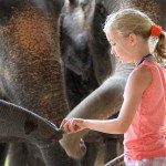 kinderen-olifant-ervaring-elephant-hills-khao-sok-thailandtravel