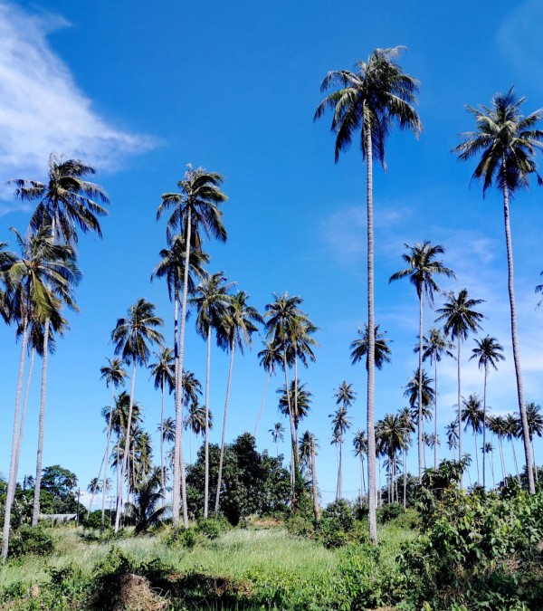 koh-mak-eiland-trad-trat-thailandtravel