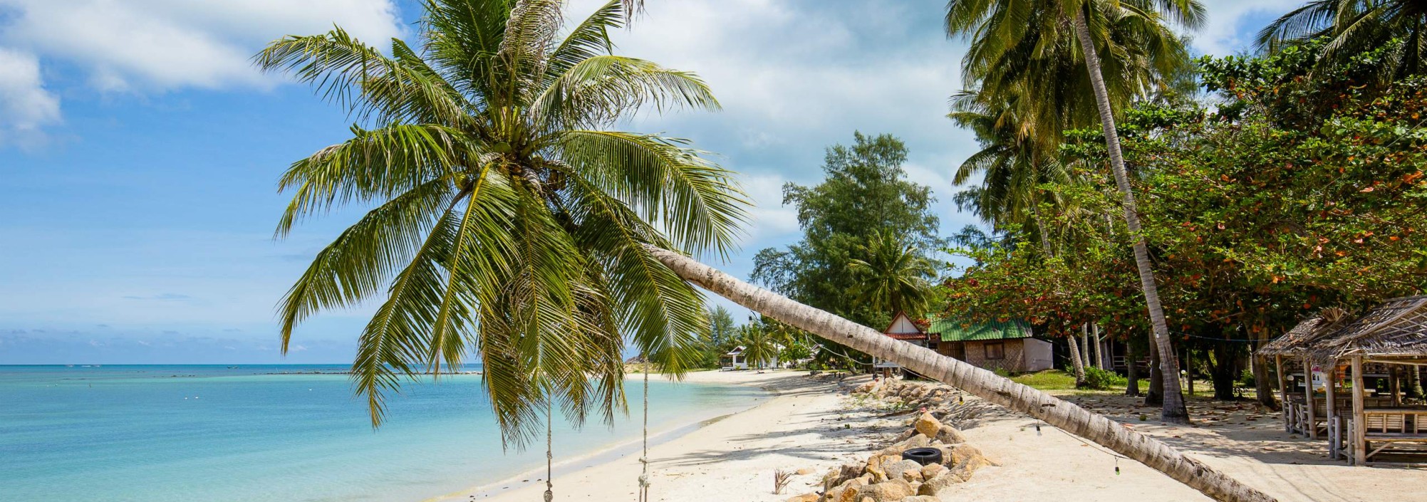 koh-phangan-palmen-strand-zee-thailandtravel
