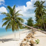 koh-phangan-palmen-strand-zee-thailandtravel