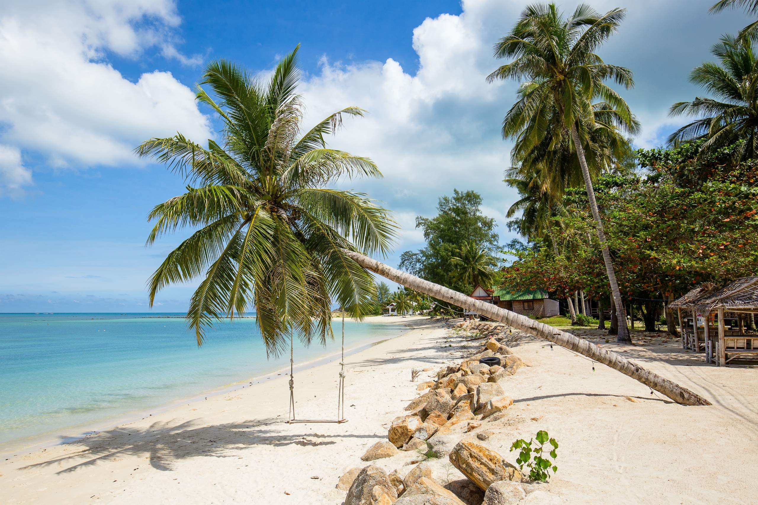 koh-phangan-palmen-strand-zee-thailandtravel