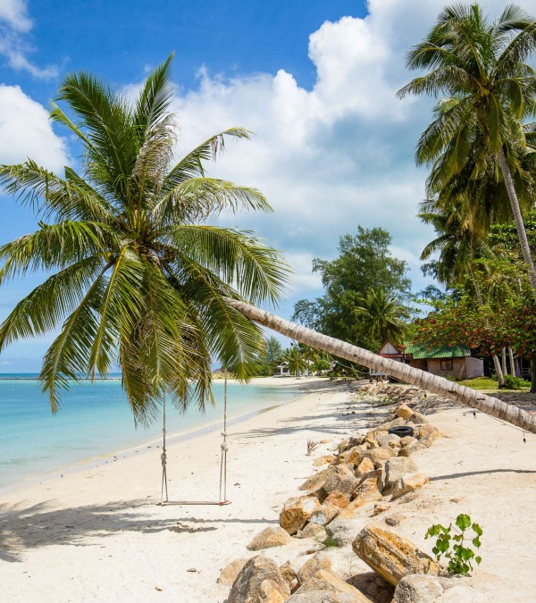 koh-phangan-palmen-strand-zee-thailandtravel