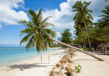 koh-phangan-palmen-strand-zee-thailandtravel