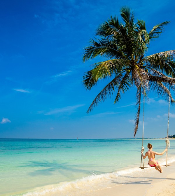 koh-phangan-thailand-palmboom