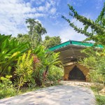 luxe-tent-elephant-hills-camp-khao-sok-national-park-thailandtravel