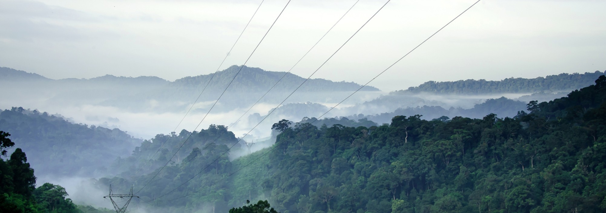 natuur-khao-sok-boutique-camp