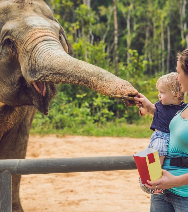 olifanten-thailand-moeder-kind-thailandtravel