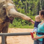 olifanten-thailand-moeder-kind-thailandtravel