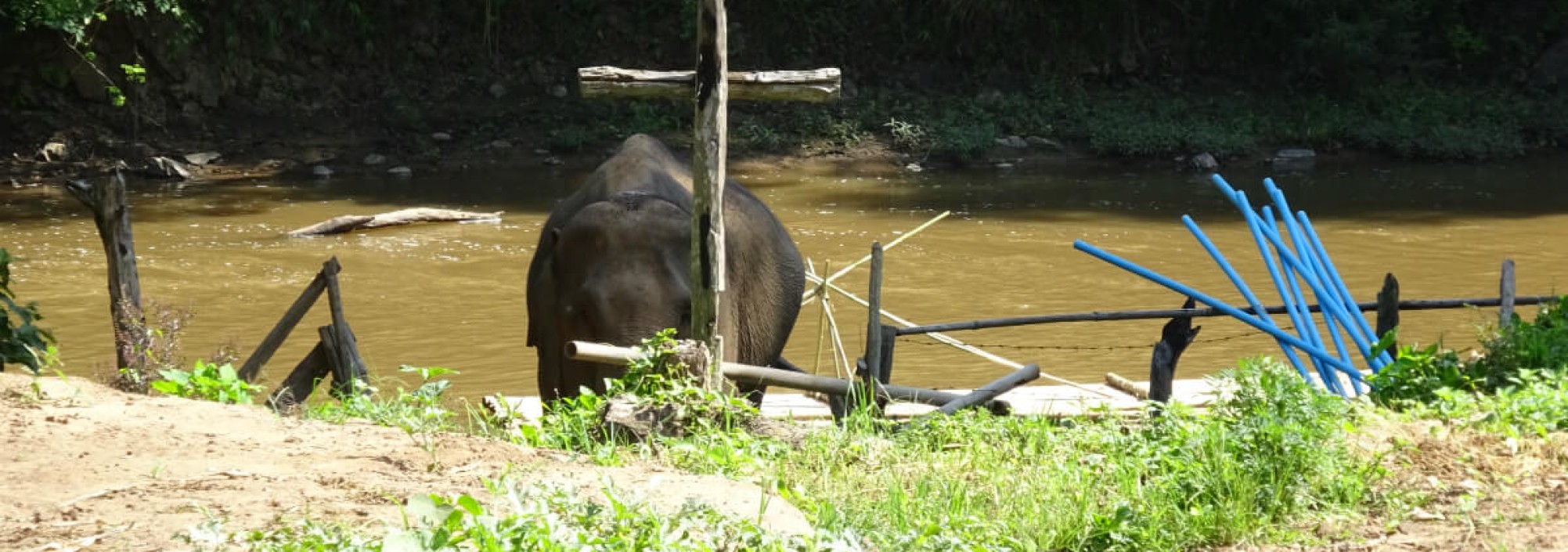 olifantenkamp-chiang-mai-trekking-thailandtravel-1