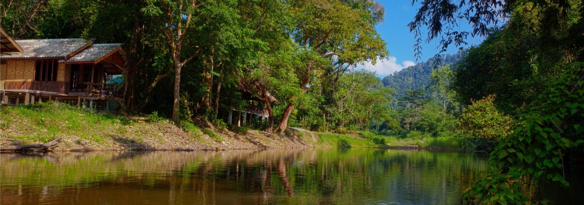 Omgeving, jungle en natuur bij Khao Sok Riverside Cottages