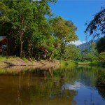 Omgeving, jungle en natuur bij Khao Sok Riverside Cottages
