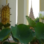 phnompenh-paleis-bloem-thailandtravel