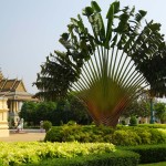 phnompenh-paleis-tuin-thailandtravel