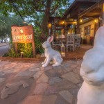 rabbit-resort-jomtien-pattaya-thailandtravel