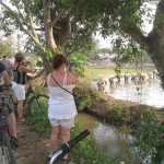 rijstvelden-chiang-mai-fietsen-excursie-thailandtravel-1