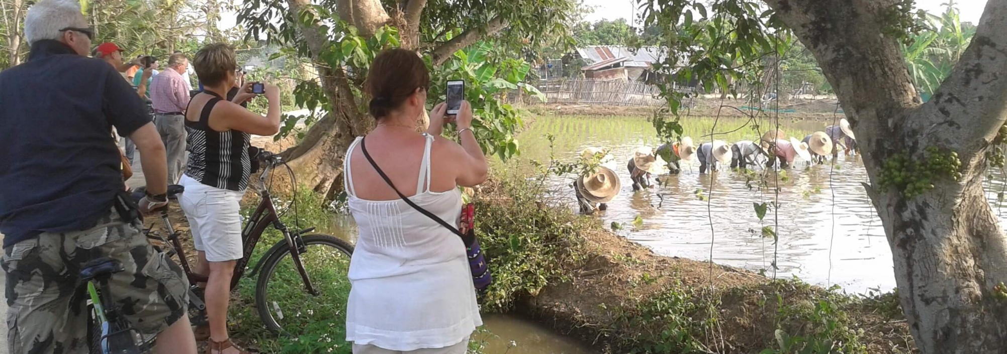 rijstvelden-chiang-mai-fietsen-excursie-thailandtravel