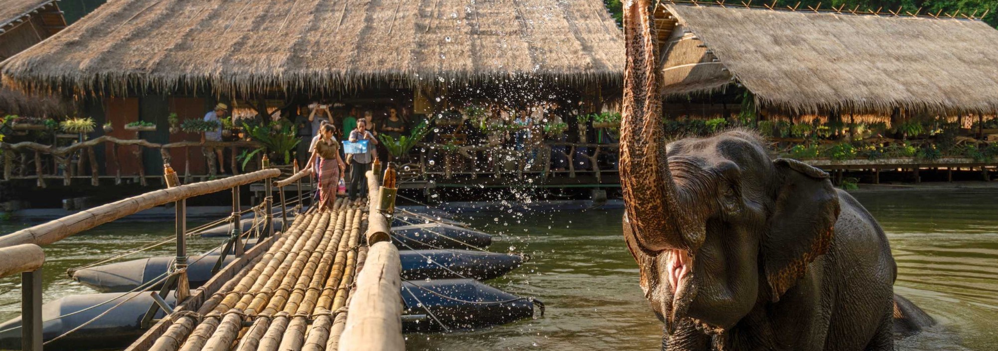 river-kwai-jungle-rafts-olifanten-thailandtravel