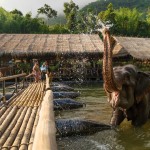 river-kwai-jungle-rafts-olifanten-thailandtravel