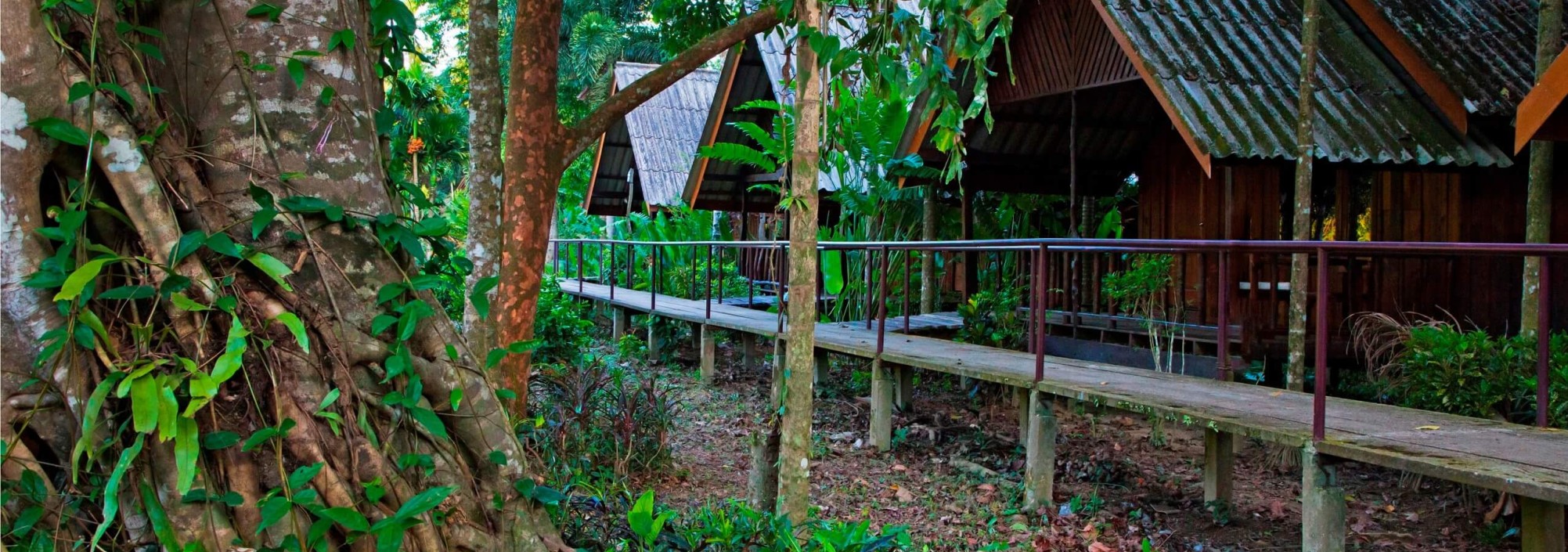 River Room Khao Sok Riverside Cottages