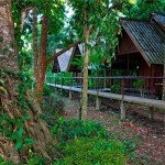 River Room Khao Sok Riverside Cottages