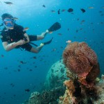 sai-daeng-resort-koh-tao-duiken