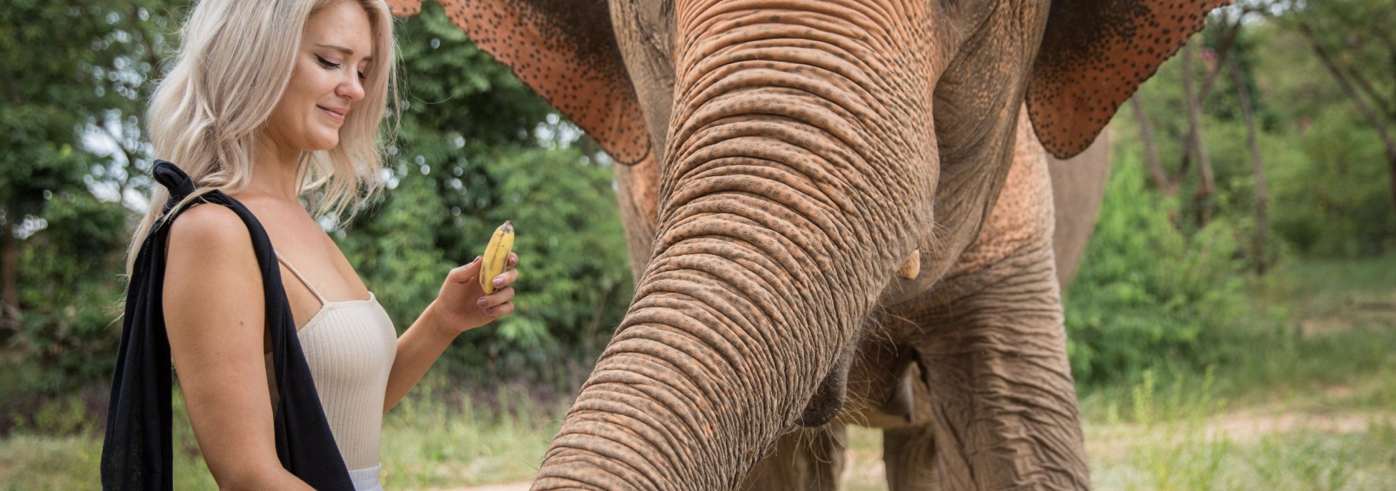 samui-elephant-sanctuary-diervriendelijk-olifantenkamp-banaan-thailandtravel