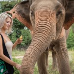 samui-elephant-sanctuary-diervriendelijk-olifantenkamp-banaan-thailandtravel