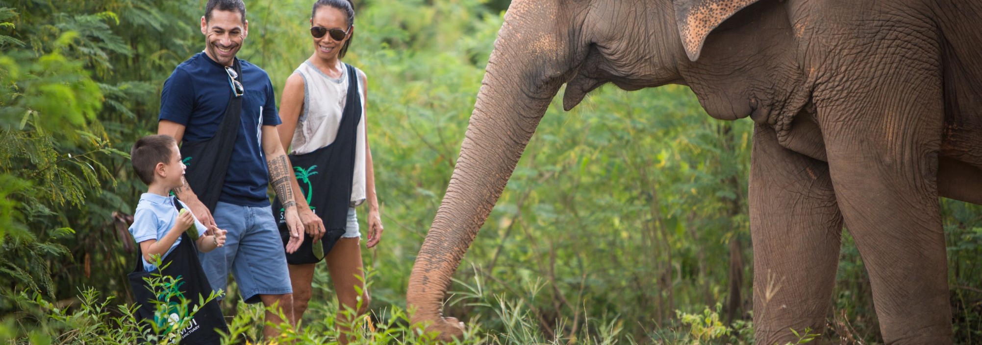samui-elephant-sanctuary-diervriendelijk-olifantenkamp-familie-gezin-thailandtravel