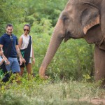 samui-elephant-sanctuary-diervriendelijk-olifantenkamp-familie-gezin-thailandtravel
