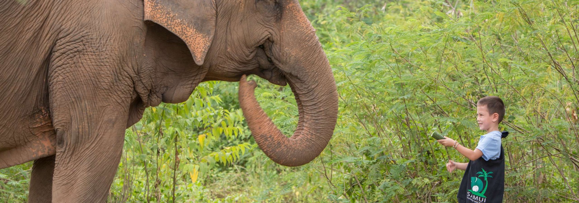 samui-elephant-sanctuary-diervriendelijk-olifantenkamp-kind-thailandtravel