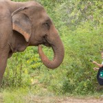 samui-elephant-sanctuary-diervriendelijk-olifantenkamp-kind-thailandtravel