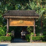 santhiya-tree-thailandtravel