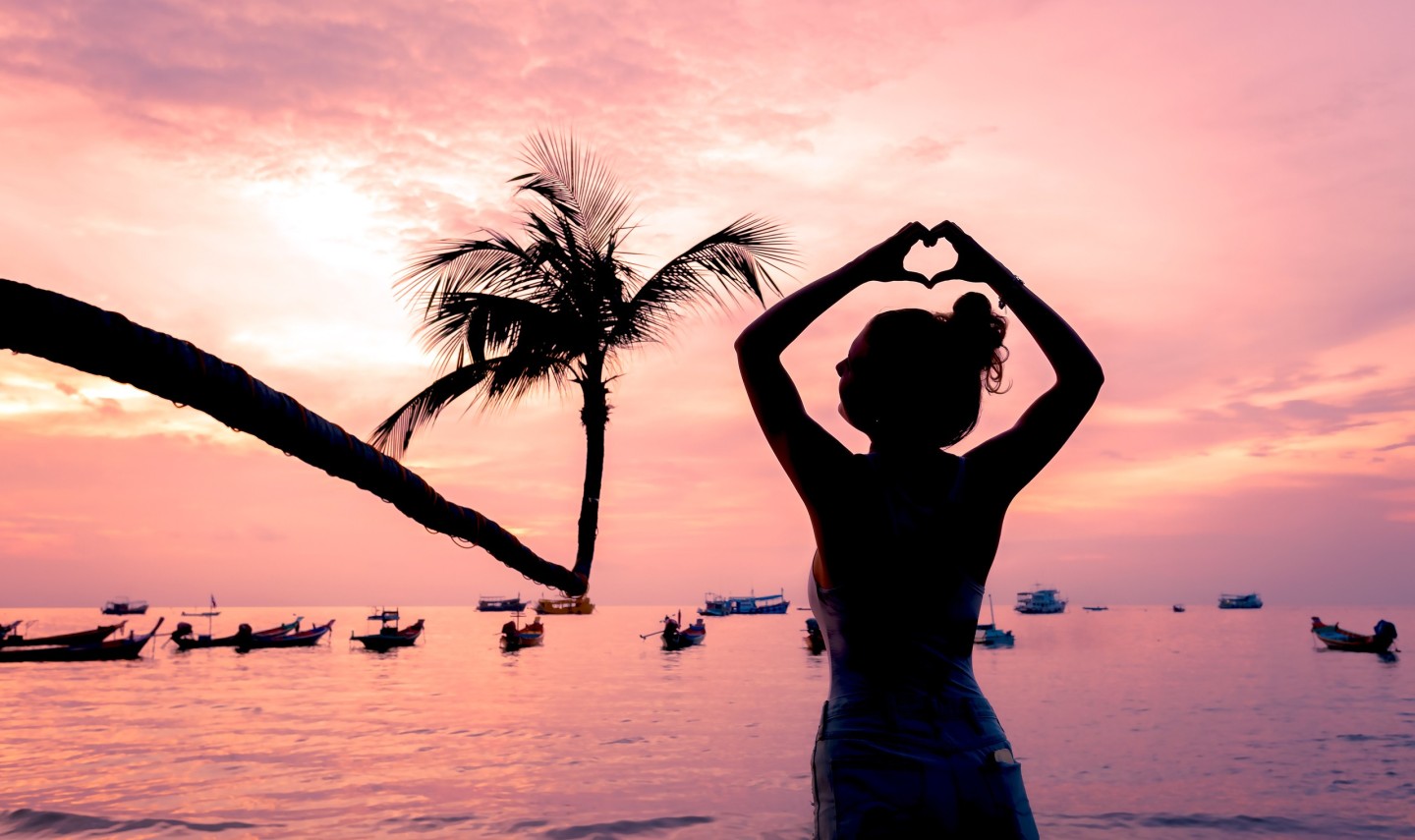 silhouette-hart-palmboom
