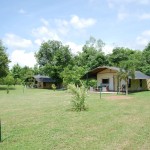 sirila-farm-tent-loei-tuin-tenten-tentenkamp-thailandtravel