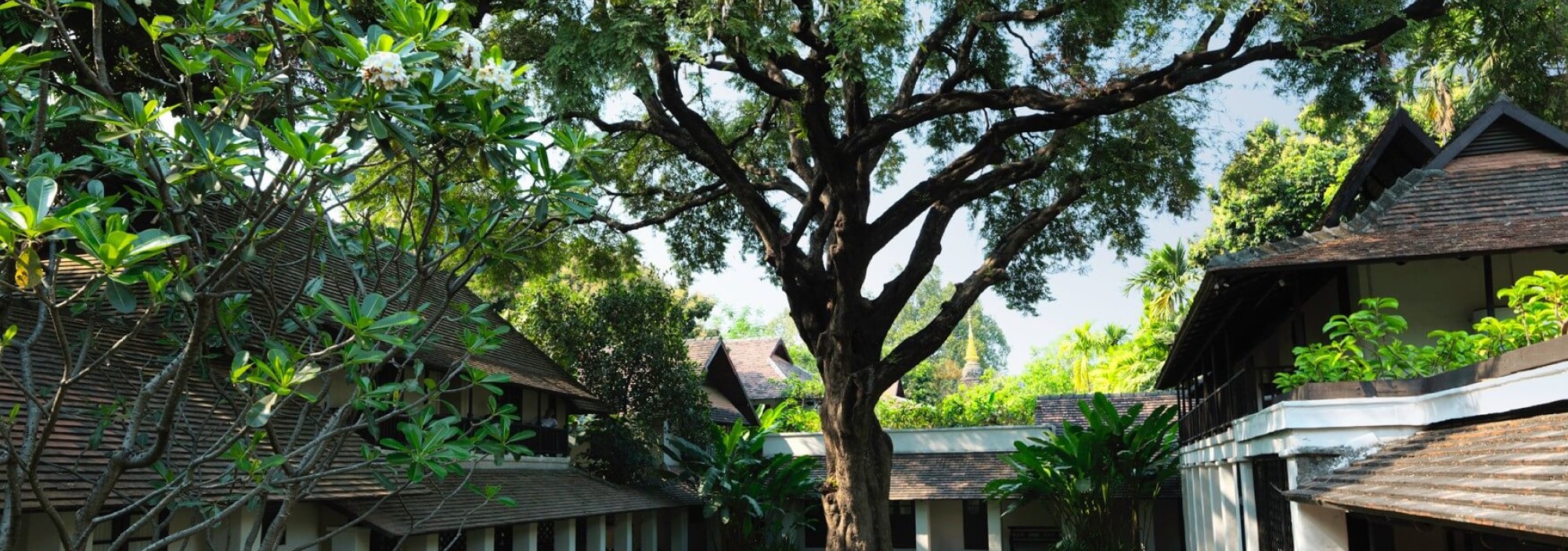 tamarind-village-courtyard-chiang-mai-thailandtravel