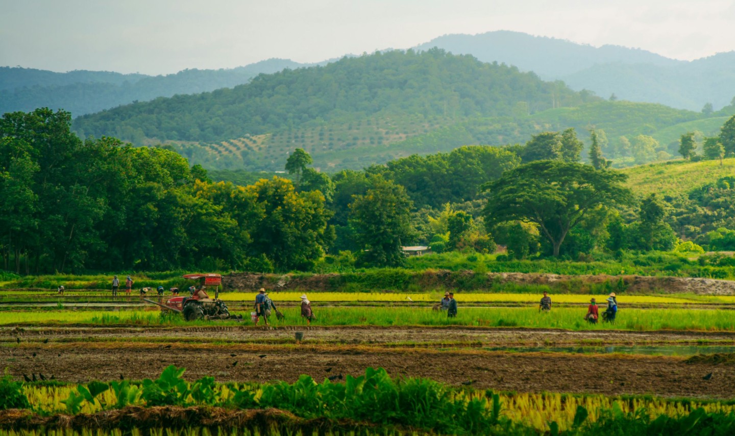 thailand-rondreizen-3-weken-unsplash-thailandtravel