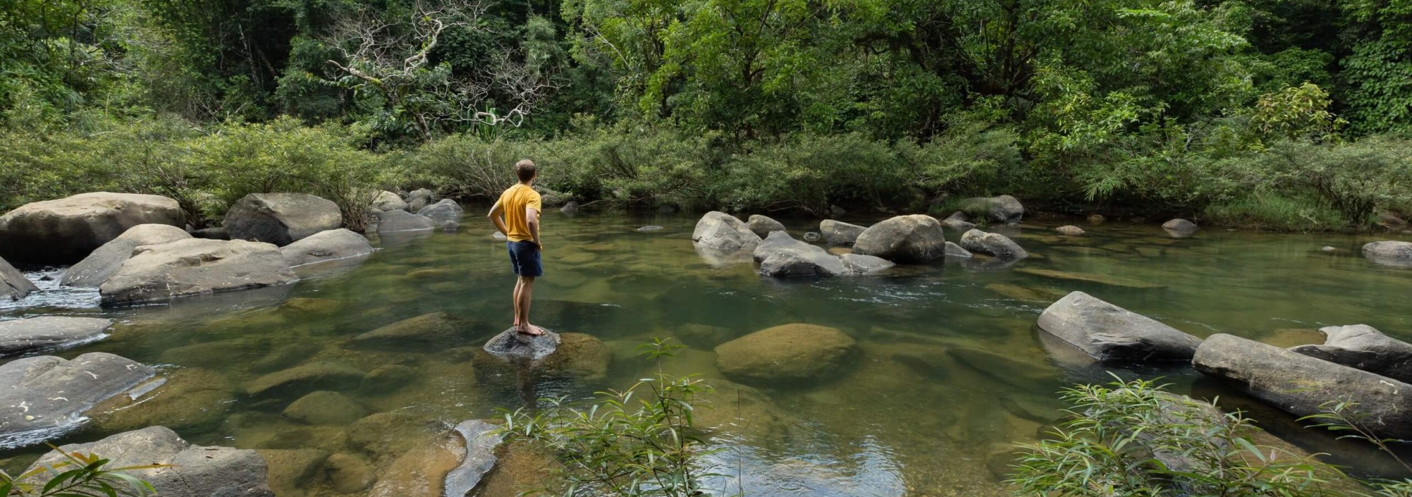 trekking-jungle-khao-sok-national-park-thailandtravel